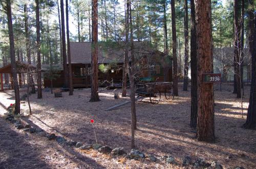 Cabin-2017 003