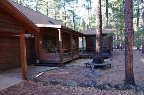 Cabin-2017 005