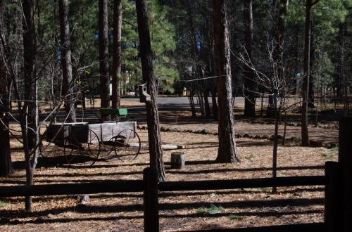 Cabin-2017 038