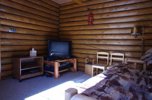 Cabin-2017 041