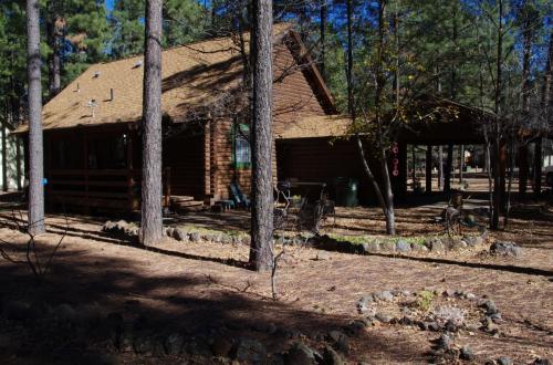 Cabin-2017 044