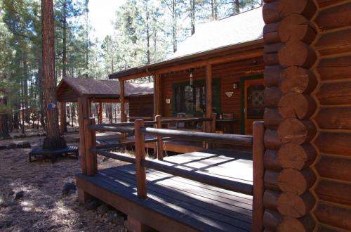 Cabin-2017 047